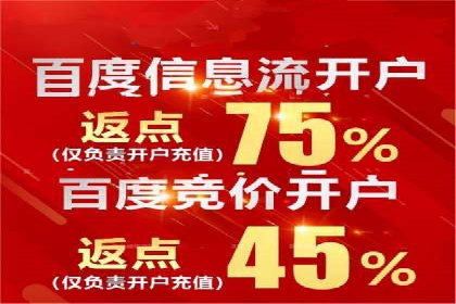 关键词竞价排名策略案例分析
